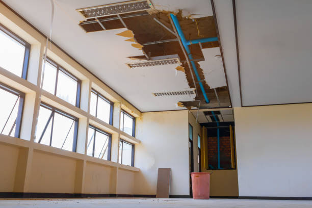 Best 24/7 water damage repair  in Neenah, WI