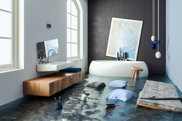 Best Professional water damage repair  in Neenah, WI