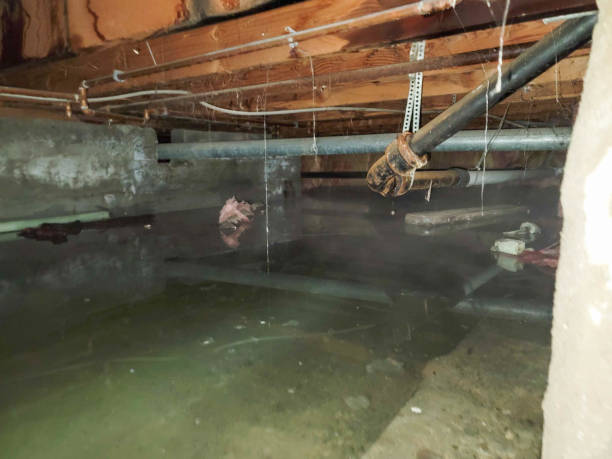 Best Residential water damage restoration  in Neenah, WI
