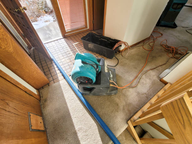 Best Water damage cleanup near me  in Neenah, WI