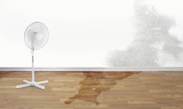 Best Flooded house restoration  in Neenah, WI