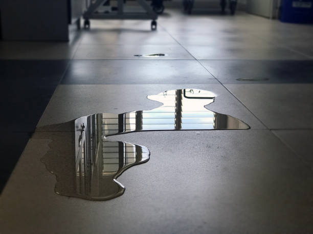 Best Water damage cleanup near me  in Neenah, WI