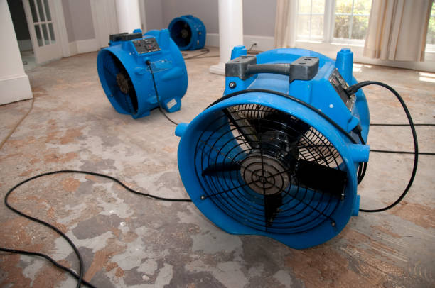 Best Water damage restoration experts  in Neenah, WI