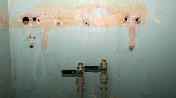 Best Commercial water damage restoration  in Neenah, WI