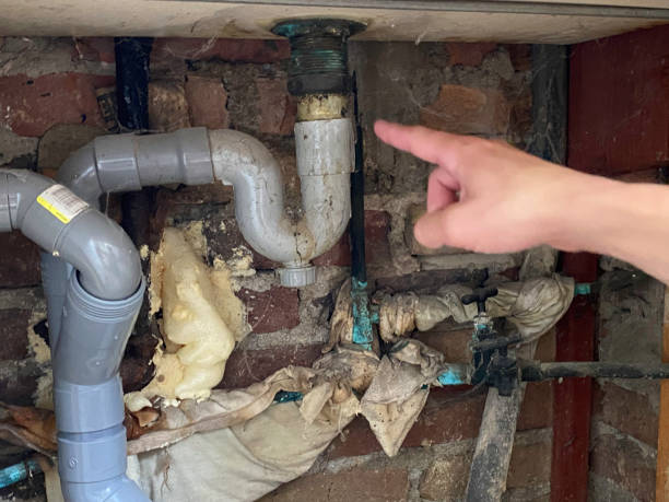 Best Local water damage restoration  in Neenah, WI